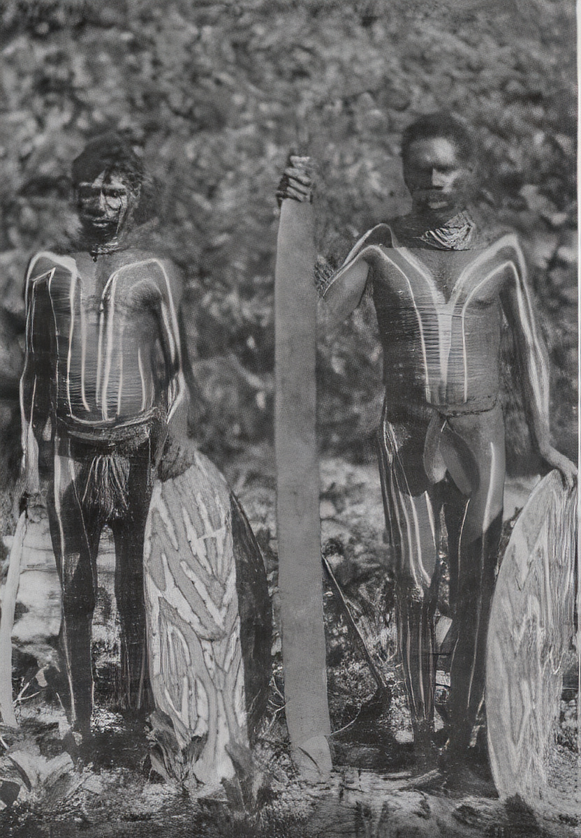 WOODEN TOOLS AND WEAPONS – Aboriginal Culture | INTRODUCTION TO ...