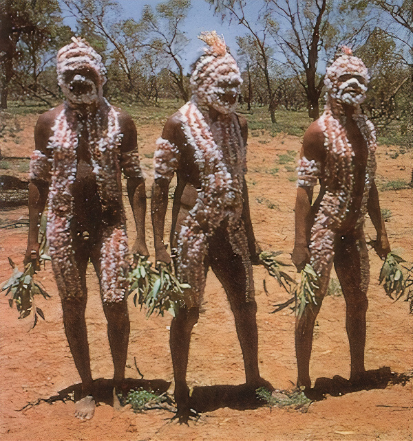 Aranda men from Central Australia covered with thick layers of coloured down, carrying bunches of leaves.