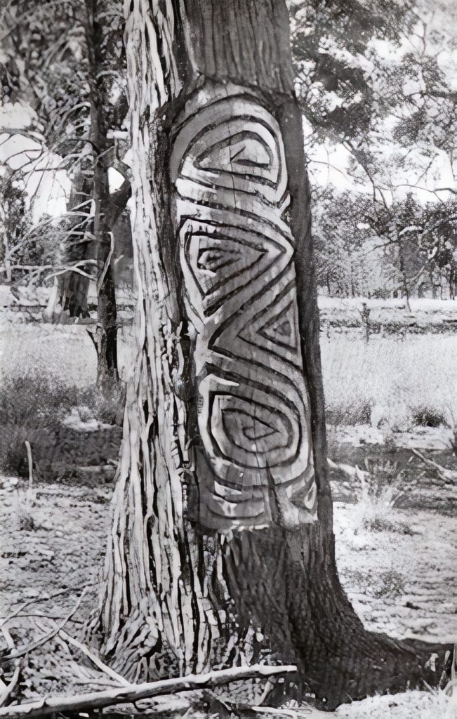 Carved Trees