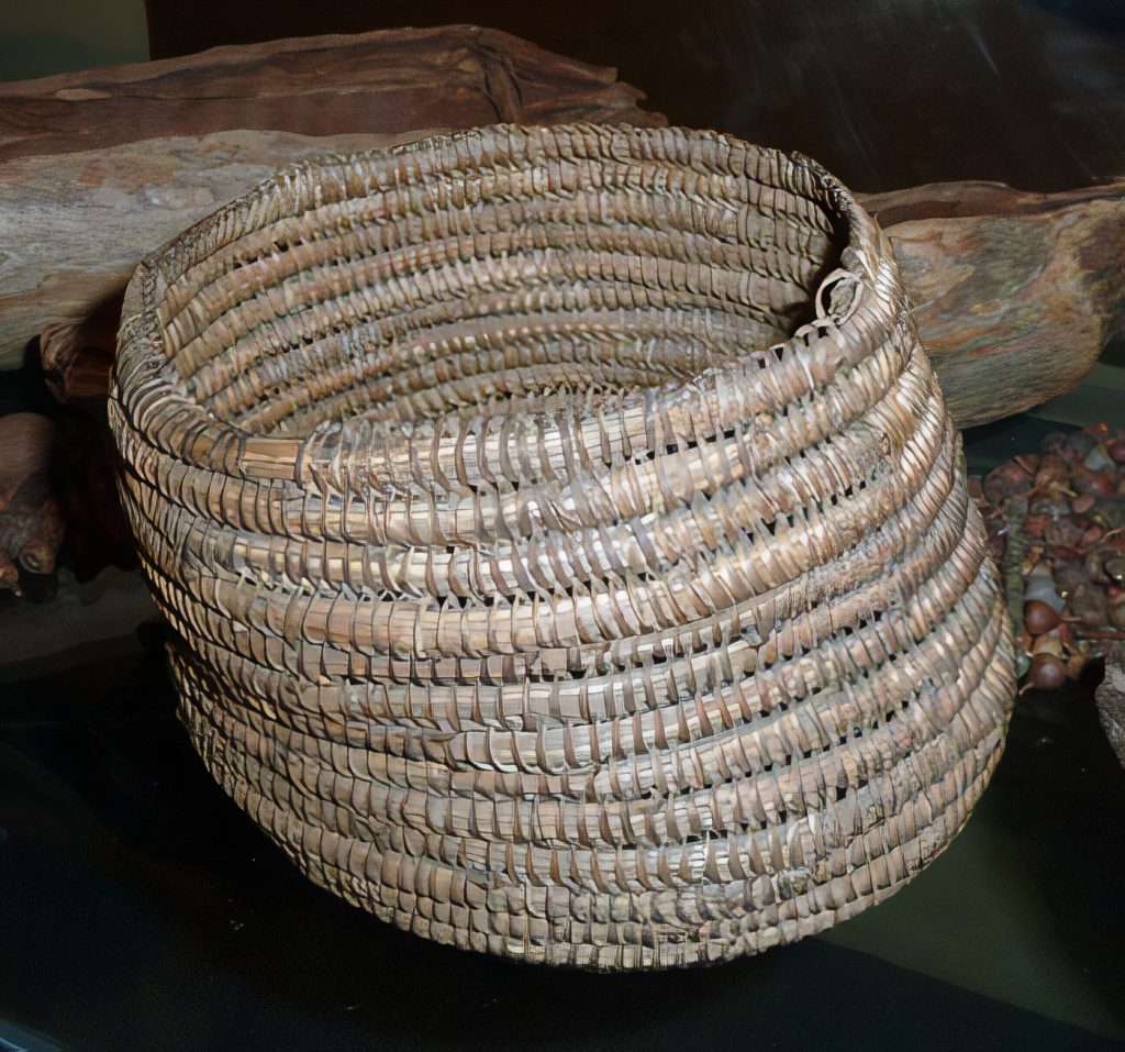 A coiled reed basket from Tambo