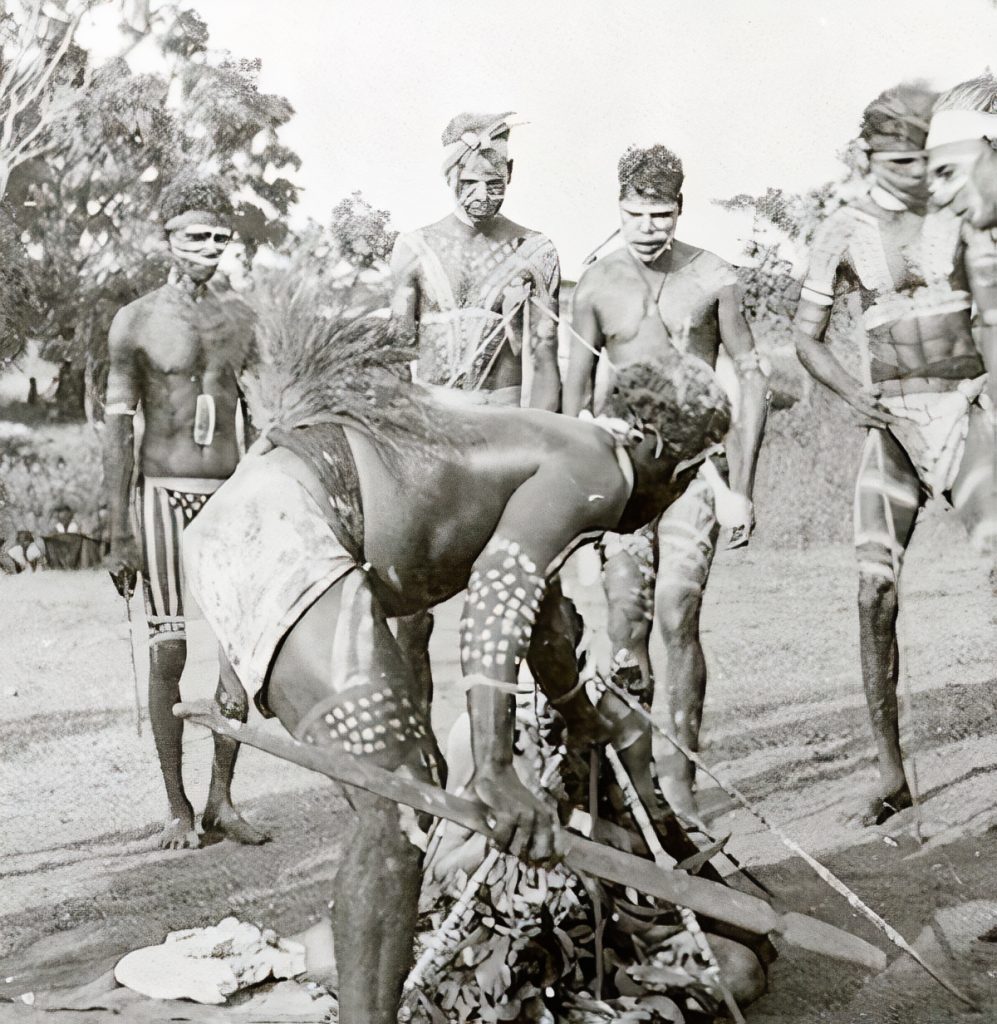 A Marranunga man decorated for a funeral ceremony, wearing a broad hair string belt with a triangular spray of emu feathers.