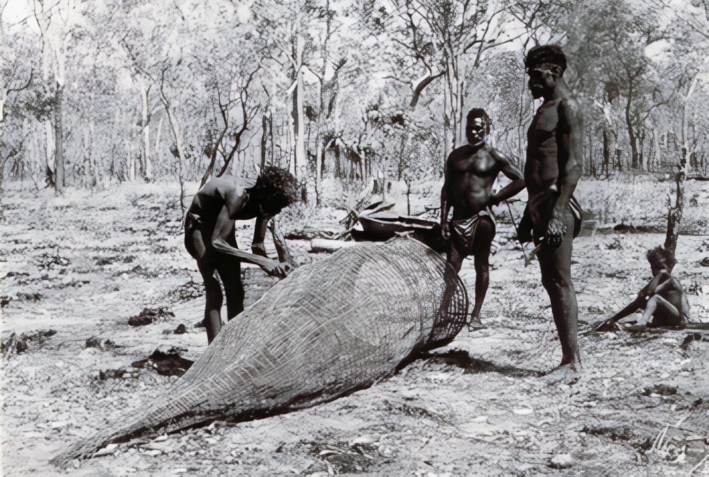 A fish trap woven by Arnhem-Landers