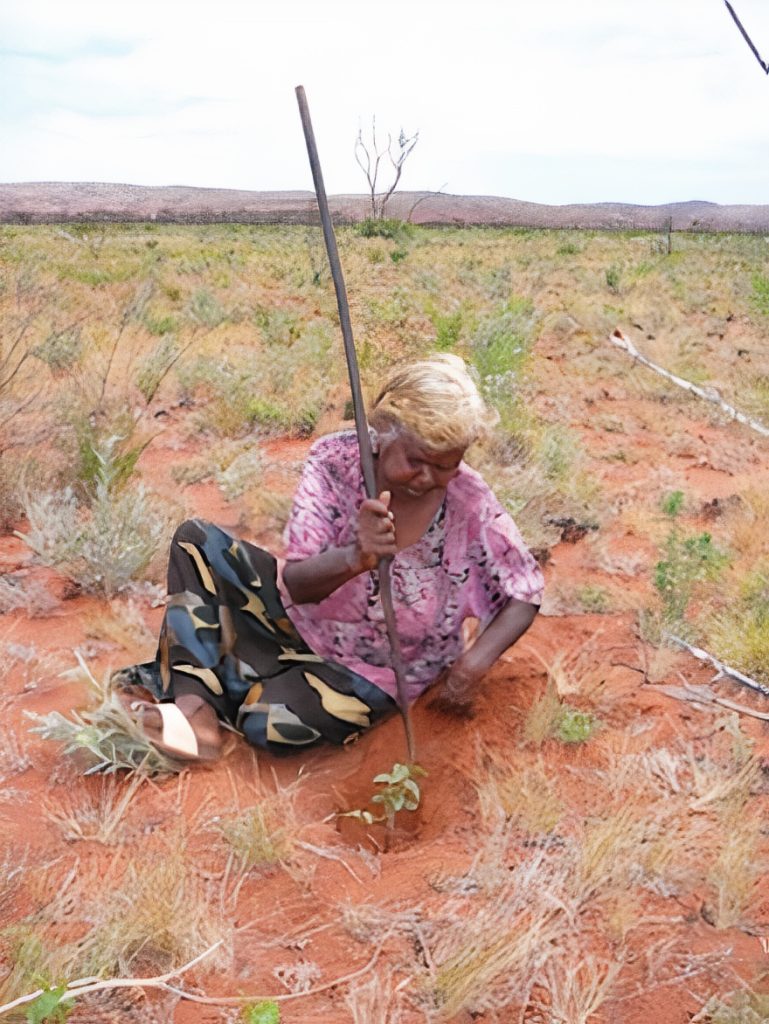 Lena Nambula digs around a small shoot