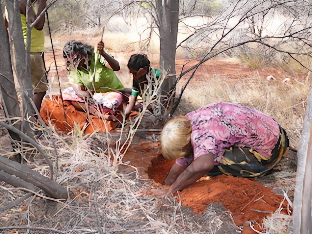 Selma Thompson (in green top) and Lena Nambula (in purple top) dig for honey ants with their families in Central Australia.