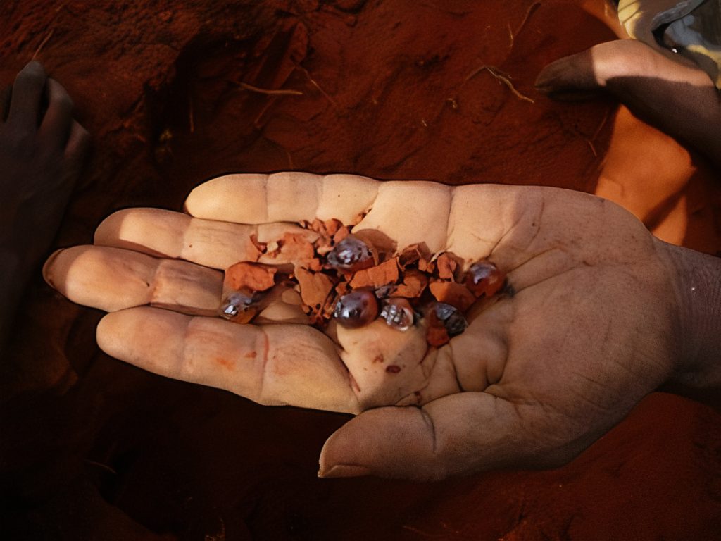 Honey ants (and lumps of red dirt).