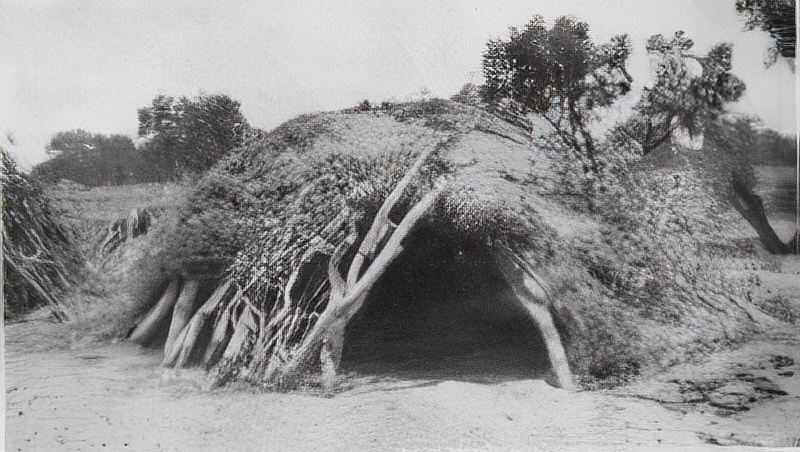 Winter shelter covered in spinifex grass used throughout inland Australia.